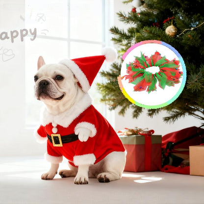Santajoy- 3D Christmas Santa Pets Costume (Small Dogs & Cats ) – Instant Christmas Magic Outfits